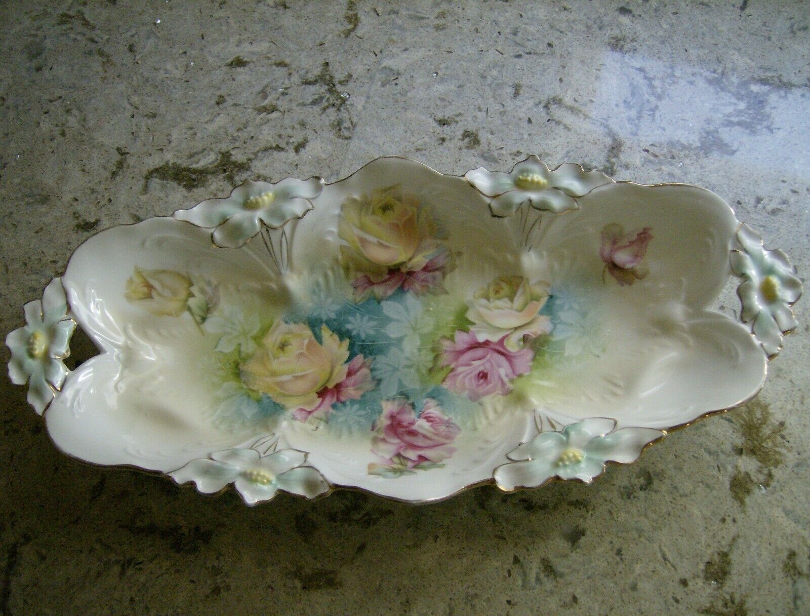 Antique Rs Prussia Porcelain Rose & Poppy Celery Dish - Unmarked